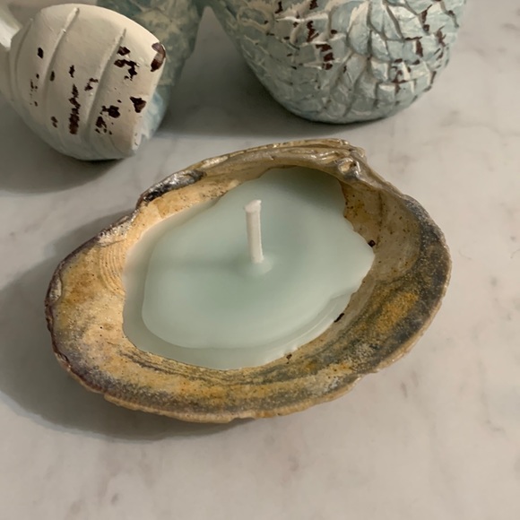 Homemade Soy Wax Candle in a Seashell Ocean Breeze Scented - Picture 3 of 12